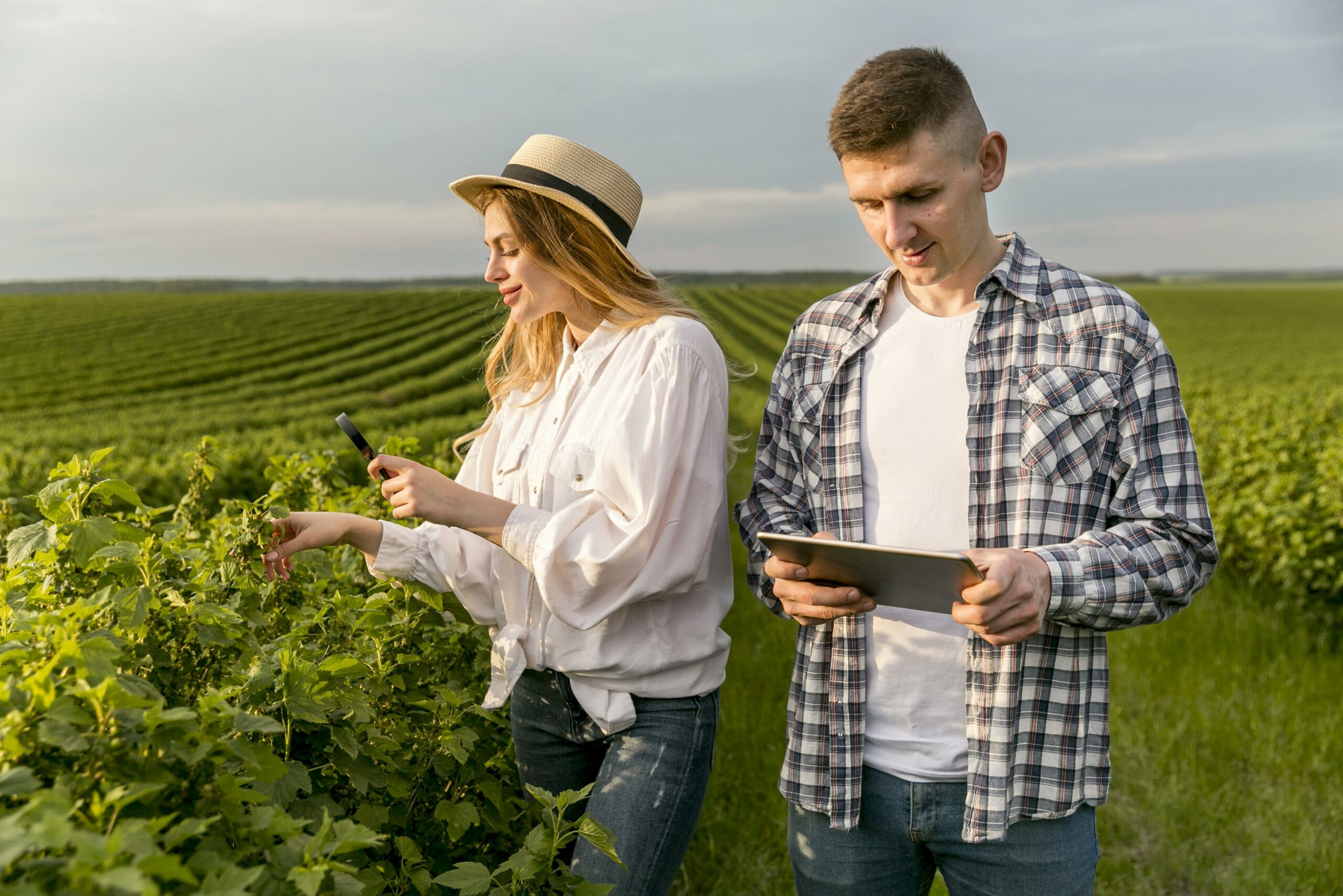 Operador/a Agrícola (Percurso 621277)
